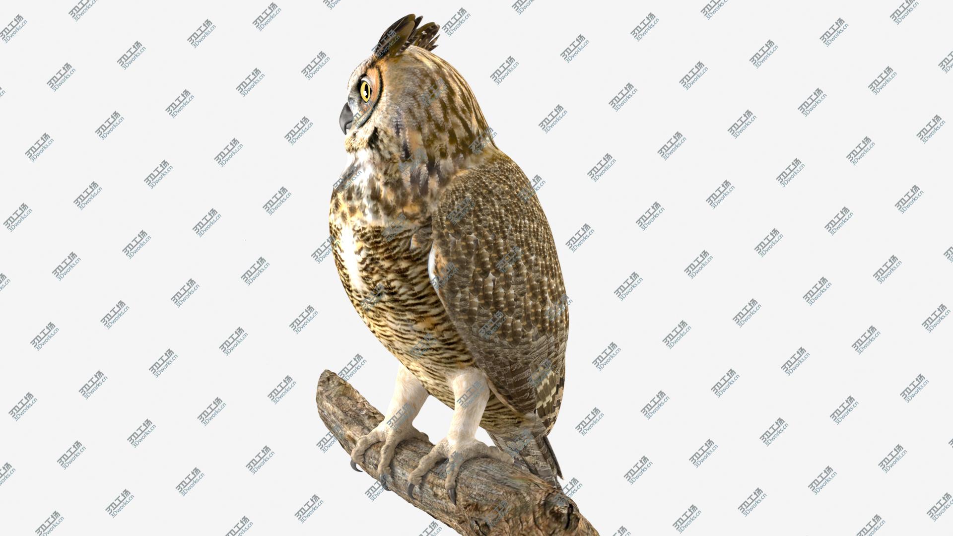 images/goods_img/202105072/Owl 3D model/5.jpg